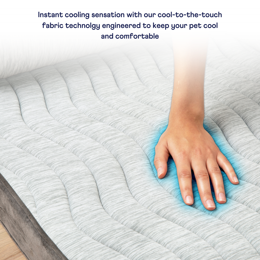 PupChill™ Cooling Bolster Dog Bed + Waterproof Blanket Bundle - Arctic Grey - - by Paw.com