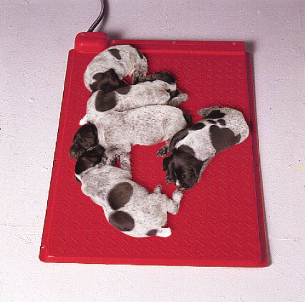 Lakeside Products Whelping Box Heater - - by Lakeside Products