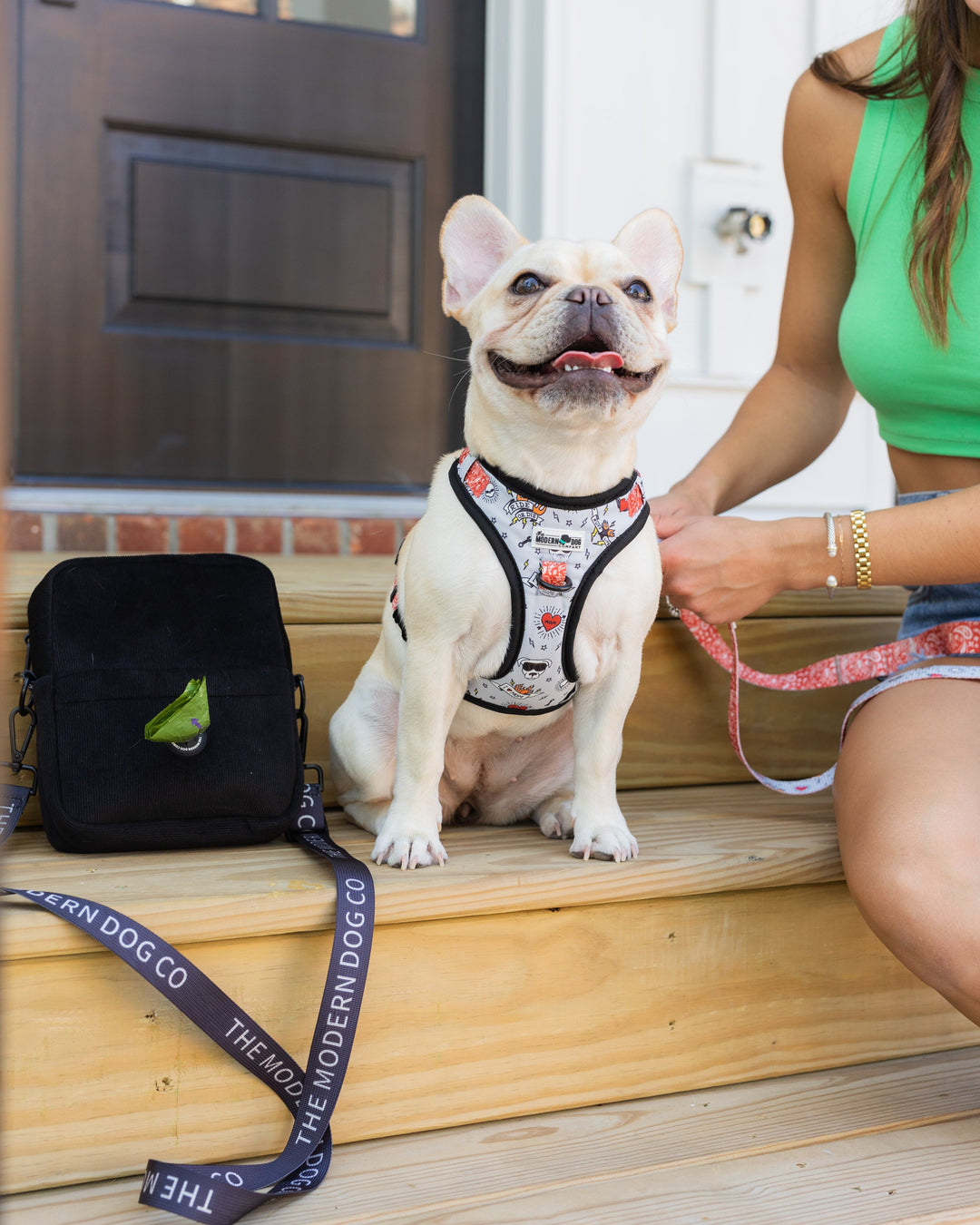 The Modern Dog Company - Bad to the Bone Harness - - by The Modern Dog Company Store