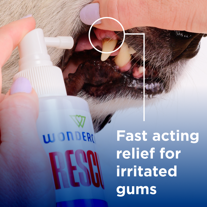 Wondercide RESCUE™ Oral Spray - - sale by Wondercide