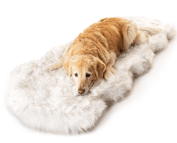 PupRug® Runner Faux Fur Memory Foam Dog Bed - Curve White with Brown Accents - - Dog Beds by Paw.com