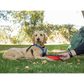 K9 Sport Sack® Saucer