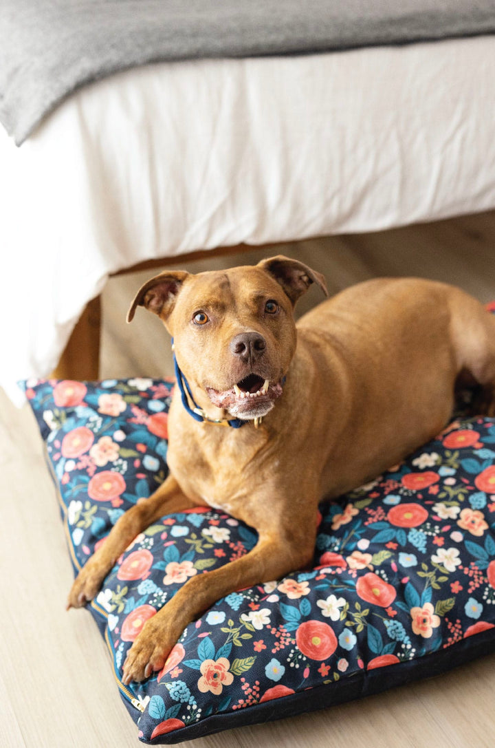 Riley Dog Bed
