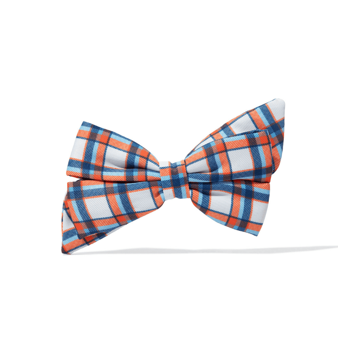 Ringo Dog Babe Bow