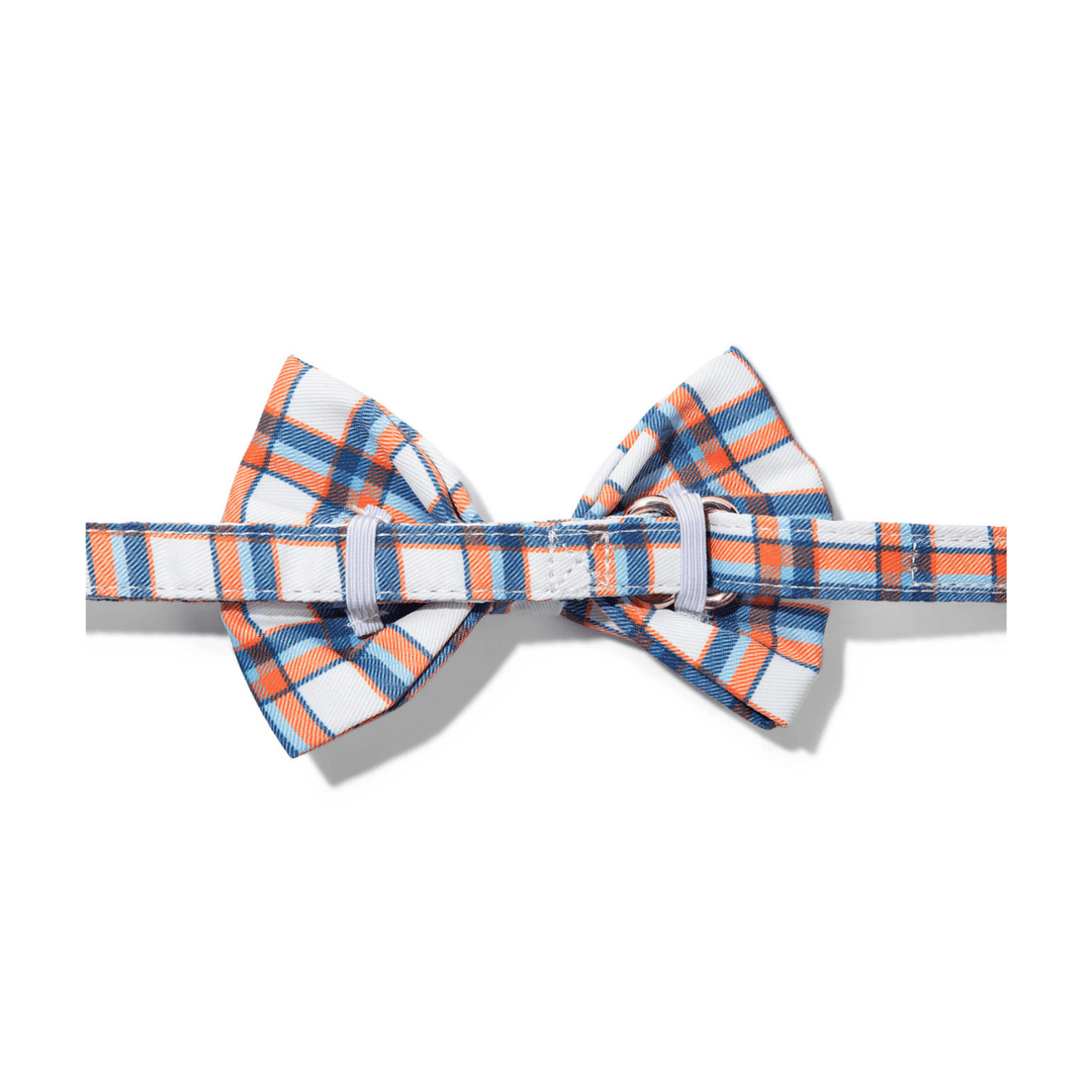 Ringo Dog Bow Tie