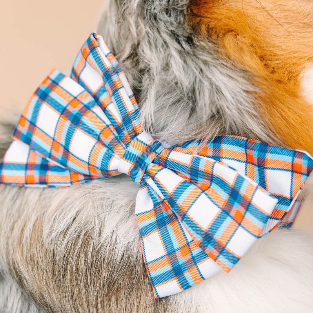 Ringo Dog Babe Bow