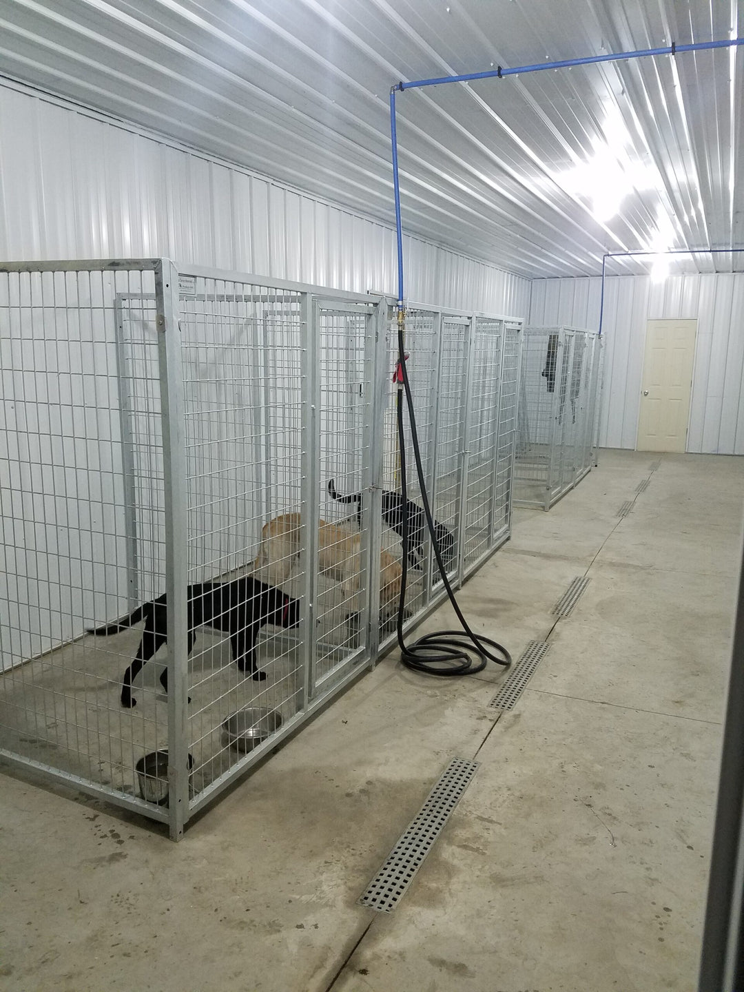 TK Products Complete 5’W x 4’L x 6’H Kennel Run w/ Stainless Steel Hardware - - Dog Kennels & Runs by TK Products