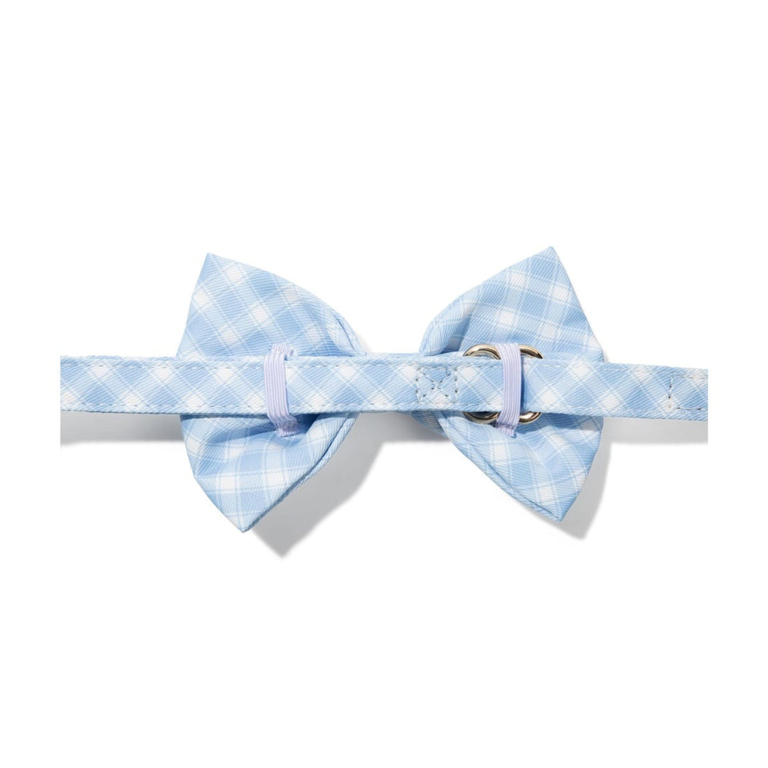 Rory Dog Bow Tie