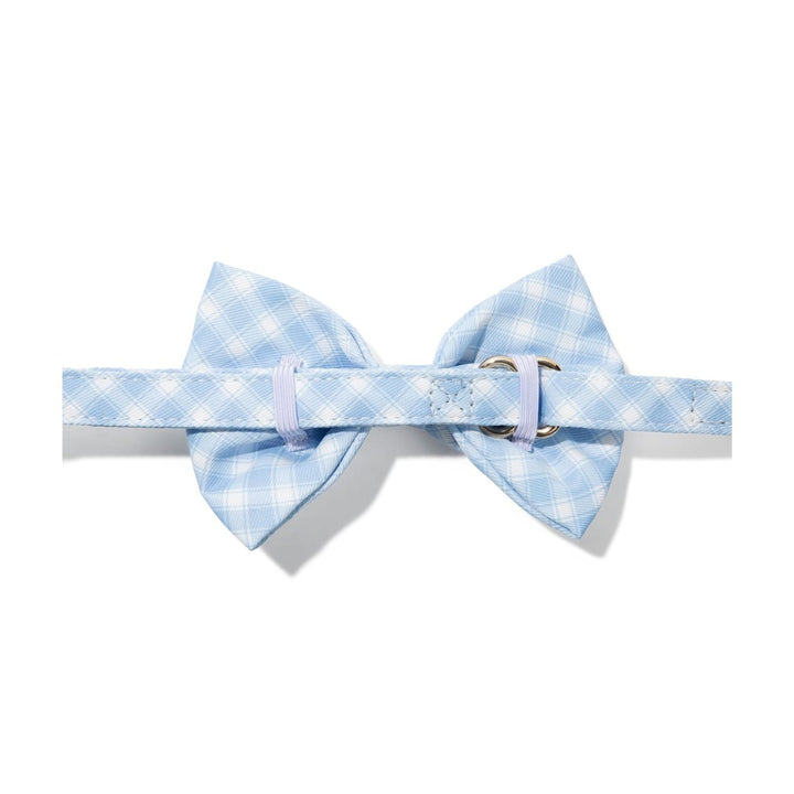 Rory Dog Bow Tie