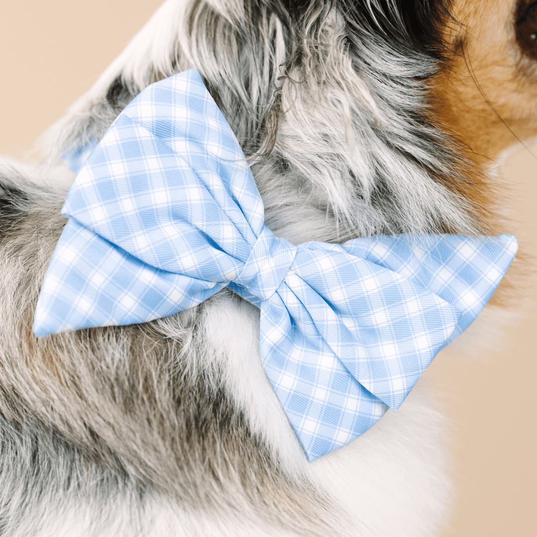 Rory Dog Babe Bow