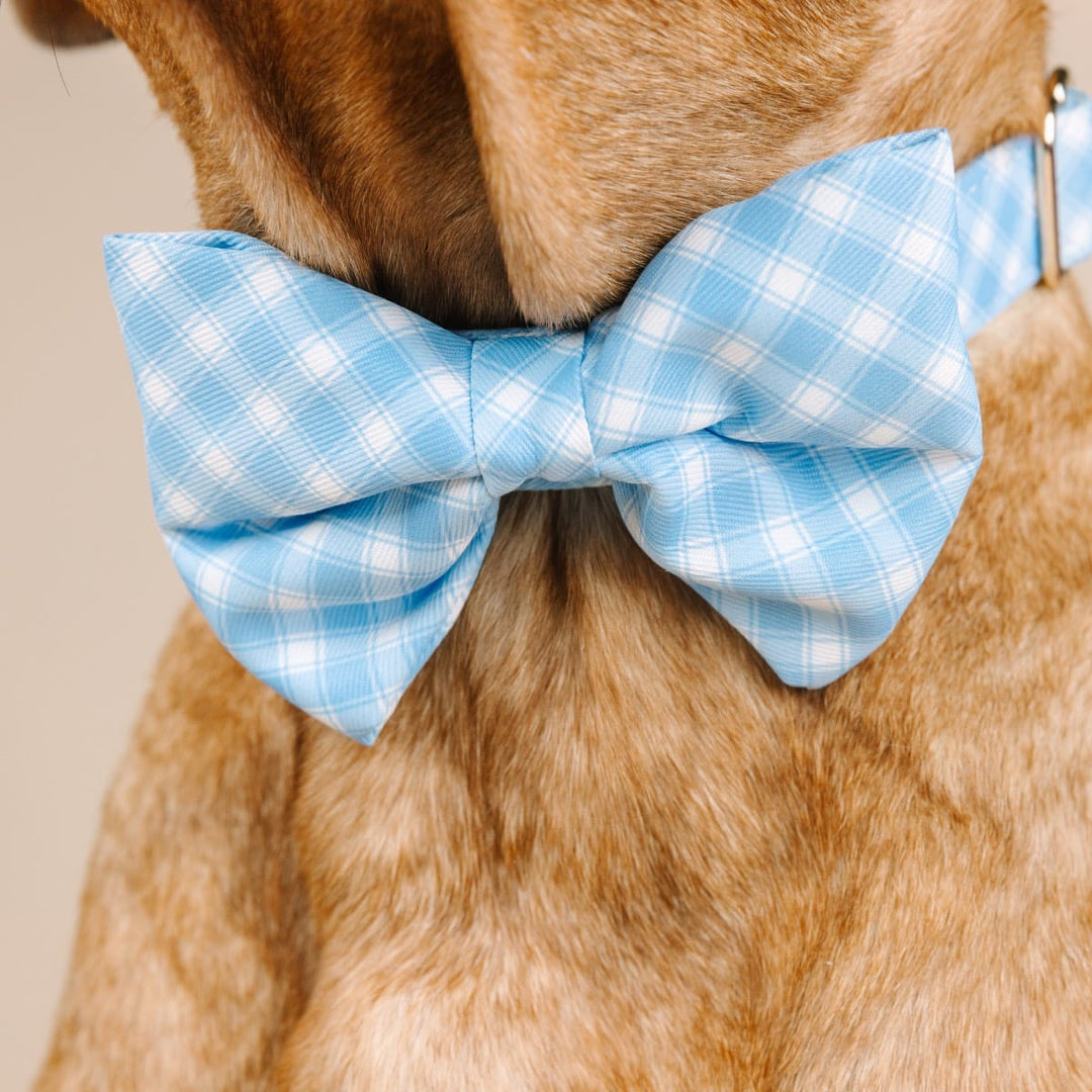 Rory Dog Bow Tie