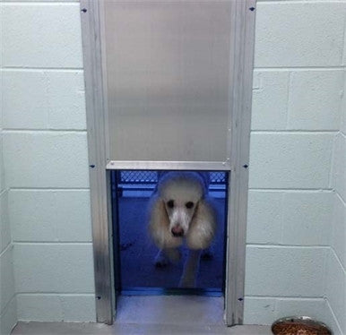 Security Boss Kennel Clad™ Insulated Guillotine Kennel Door - - Pet Doors by Security Boss