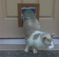 Security Boss MaxSeal Door Mount Dual Flap Pet Door