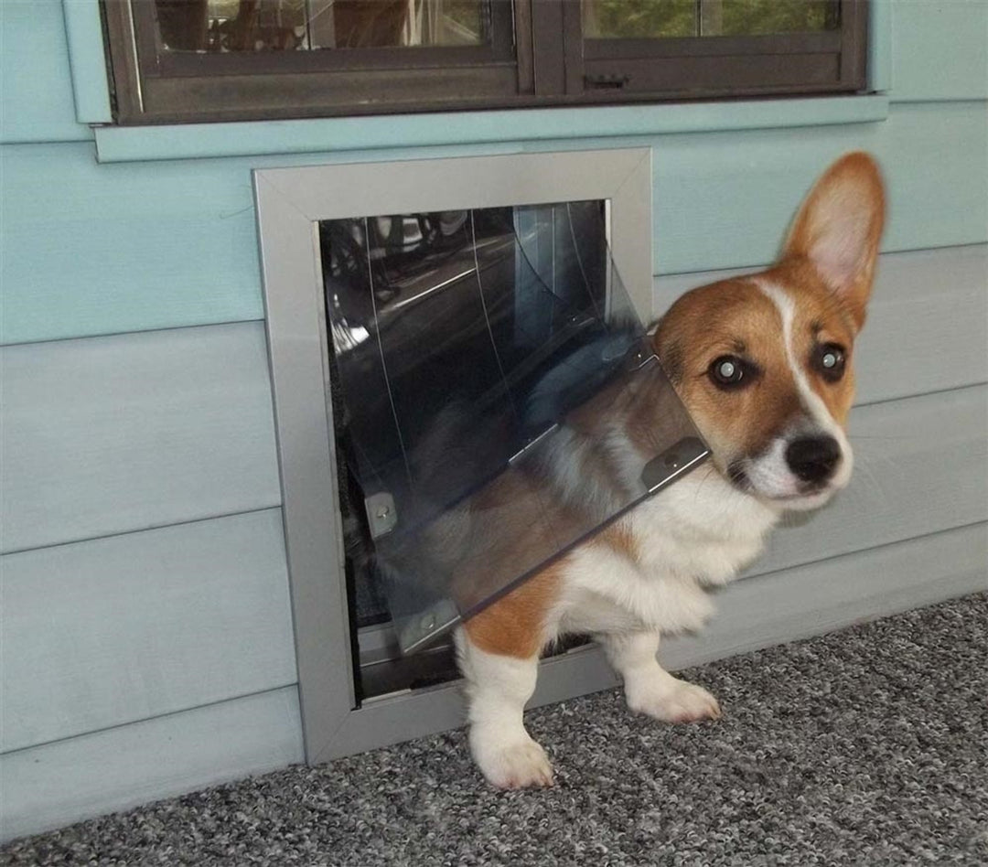 Security Boss MaxSeal Wall Mount Pet Door - - by Security Boss