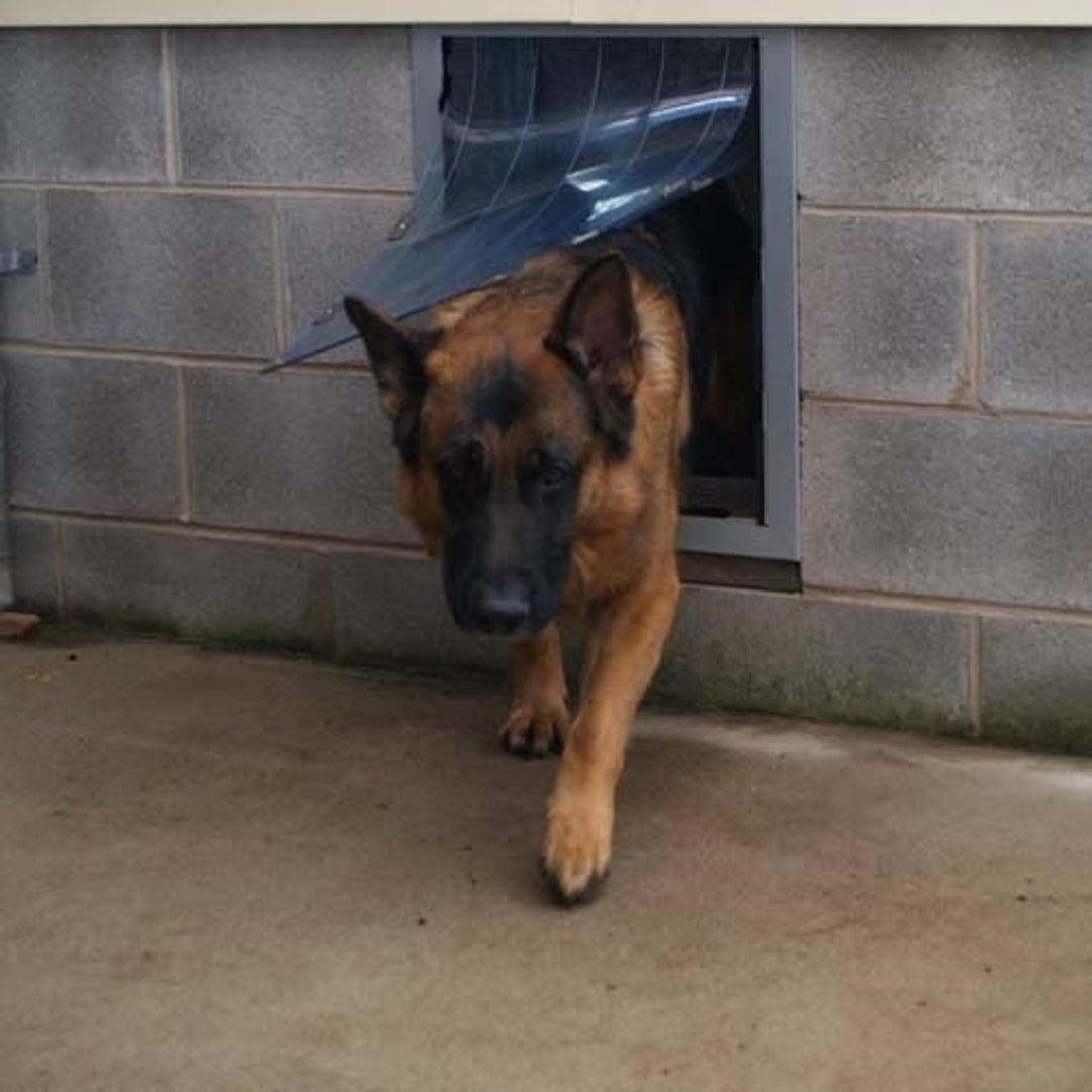 Security Boss MaxSeal Wall Mount Pet Door - - by Security Boss