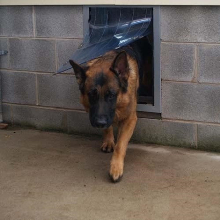 Security Boss MaxSeal Wall Mount Pet Door - - by Security Boss