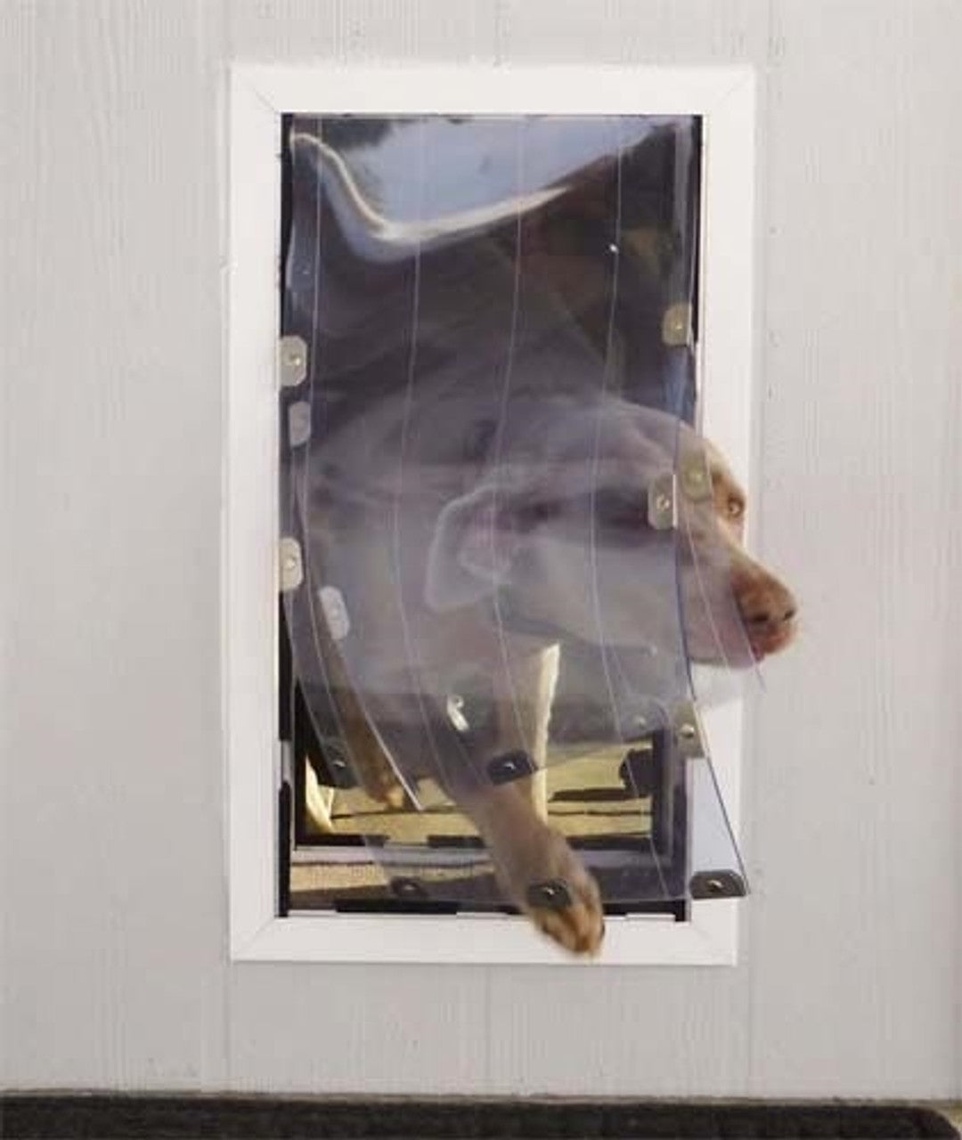 Security Boss MaxSeal Wall Mount Pet Door - - by Security Boss