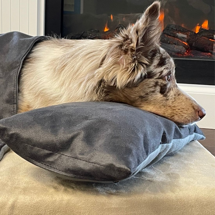 BuddyRest Soothe Anti-Anxiety Calming Dog Pillow