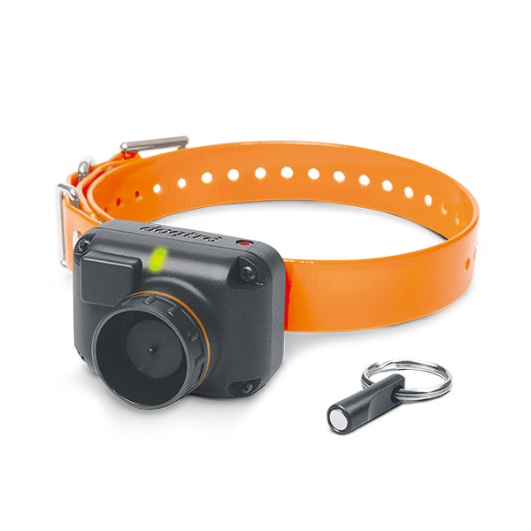 Dogtra STB Beeper Collar