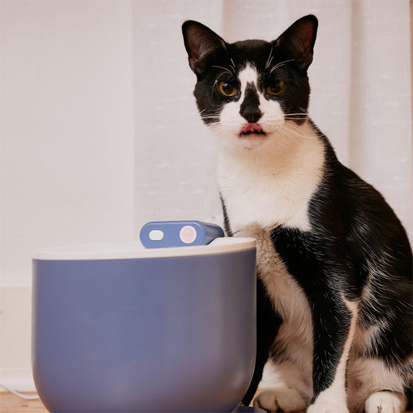 Els Pet Wireless And Automatic Cat Water Fountain