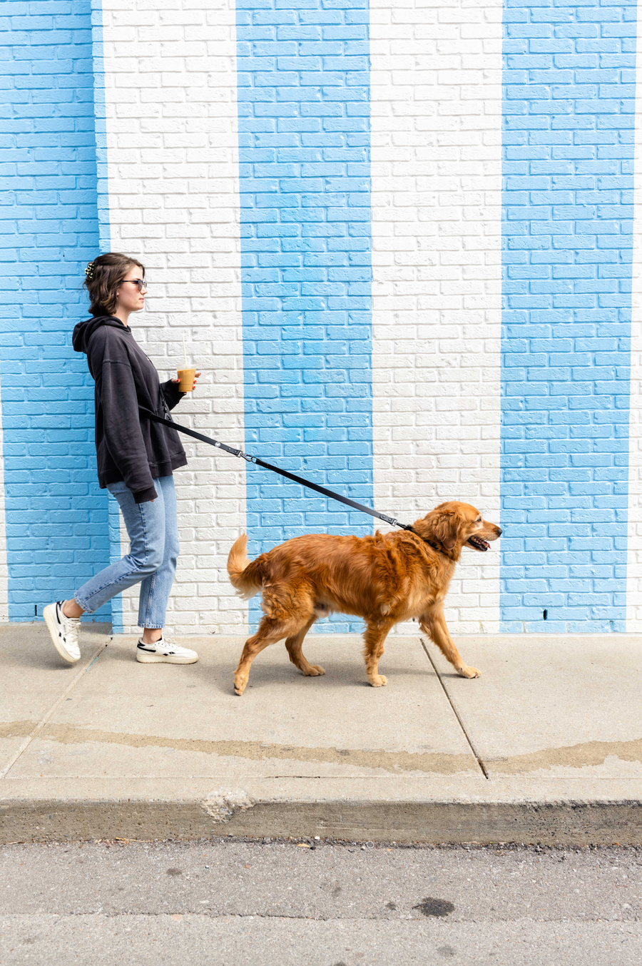 The Modern Dog Company - Black Extension Leash - - by The Modern Dog Company Store
