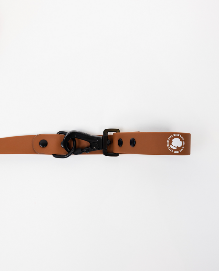 The Modern Dog Company - Coco Brown Leash - - by The Modern Dog Company Store