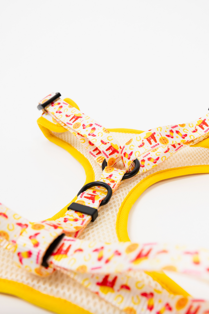 The Modern Dog Company - Yeehaw Harness - - by The Modern Dog Company Store
