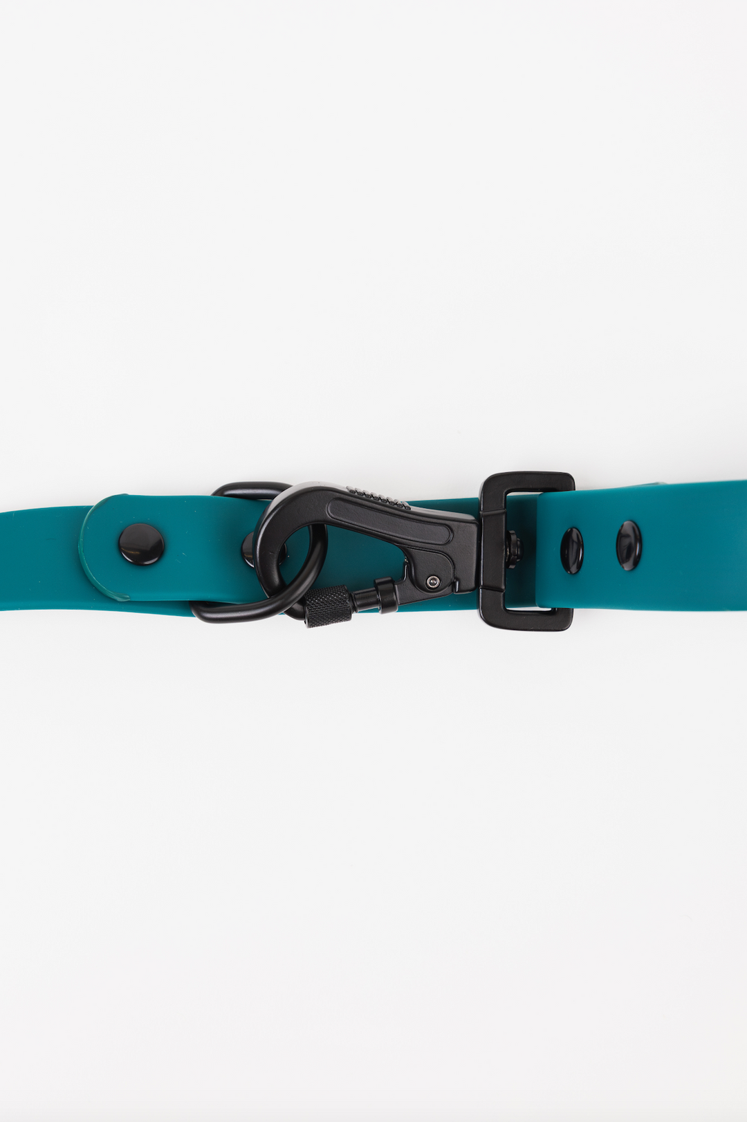 The Modern Dog Company - Forest Green Adjustable Leash - - by The Modern Dog Company Store