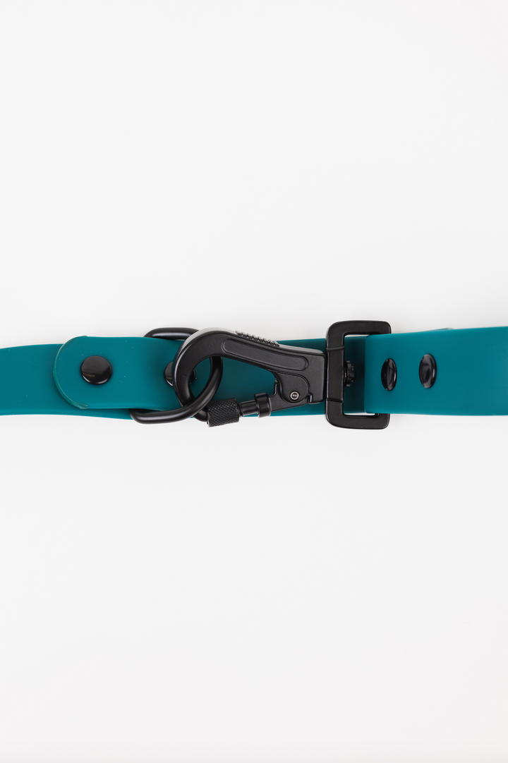 The Modern Dog Company - Forest Green Adjustable Leash - - by The Modern Dog Company Store