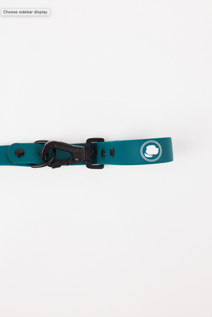The Modern Dog Company - Forest Green Adjustable Leash - - by The Modern Dog Company Store
