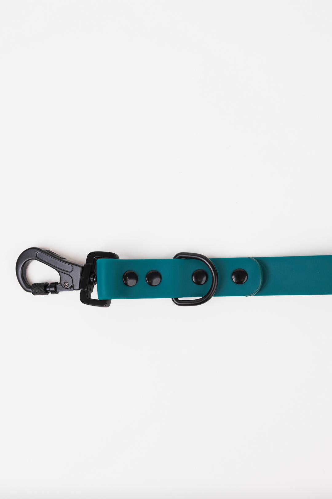 The Modern Dog Company - Forest Green Adjustable Leash - - by The Modern Dog Company Store
