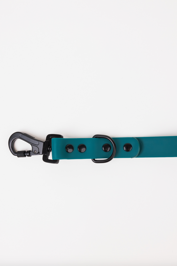 The Modern Dog Company - Forest Green Adjustable Leash - - by The Modern Dog Company Store