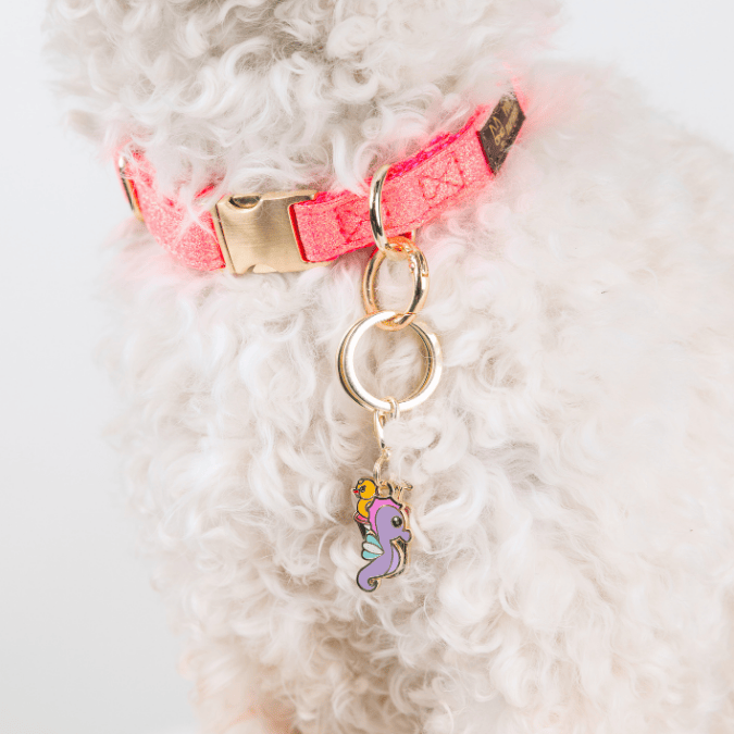Summer Drink & Seahorse Pet Charm Set