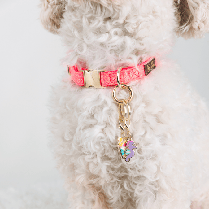 Summer Drink & Seahorse Pet Charm Set