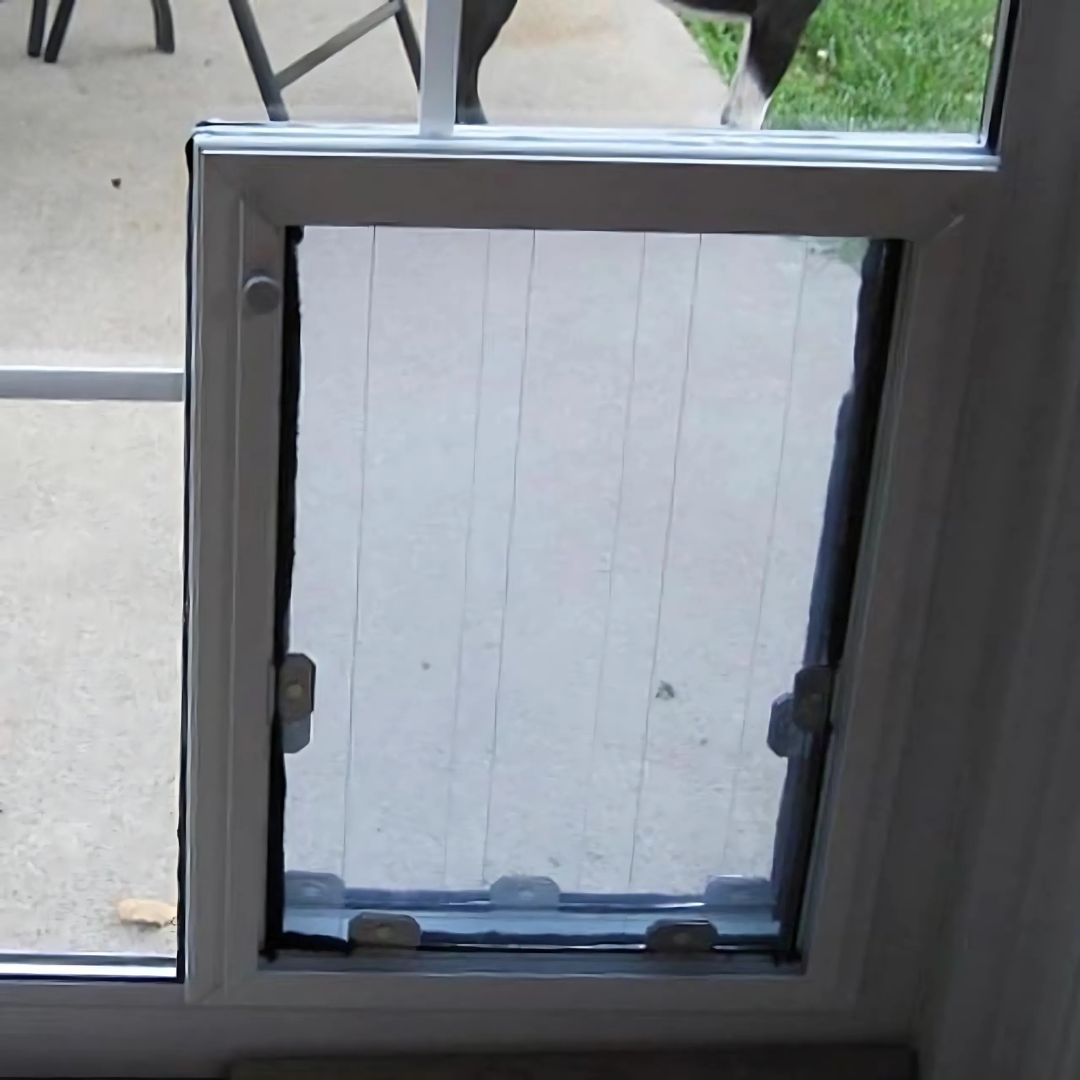 Security Boss MaxSeal In-Glass Pet Door - - Pet Doors by Security Boss
