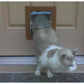 Security Boss MaxSeal Door Mount Pet Door