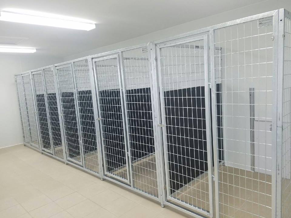 TK Products Complete 4’W x 5’L x 6’H Kennel Run w/ Stainless Steel Hardware - - Dog Kennels & Runs by TK Products