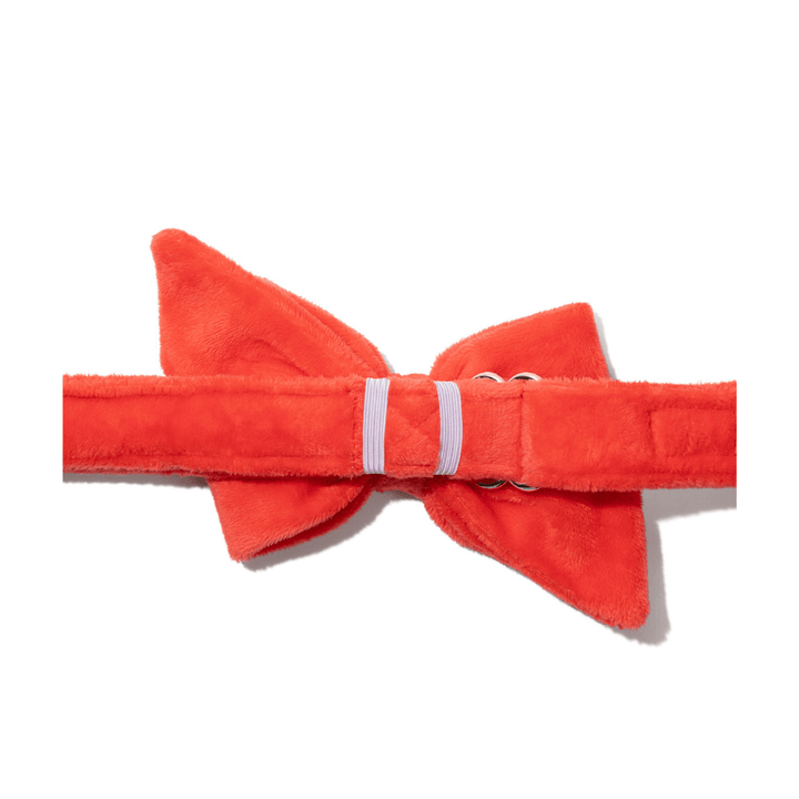 Suki Dog Babe Bow