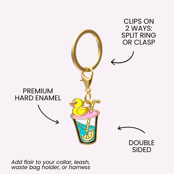 Summer Drink & Seahorse Pet Charm Set