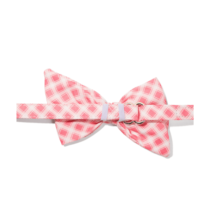 Sutton Dog Babe Bow