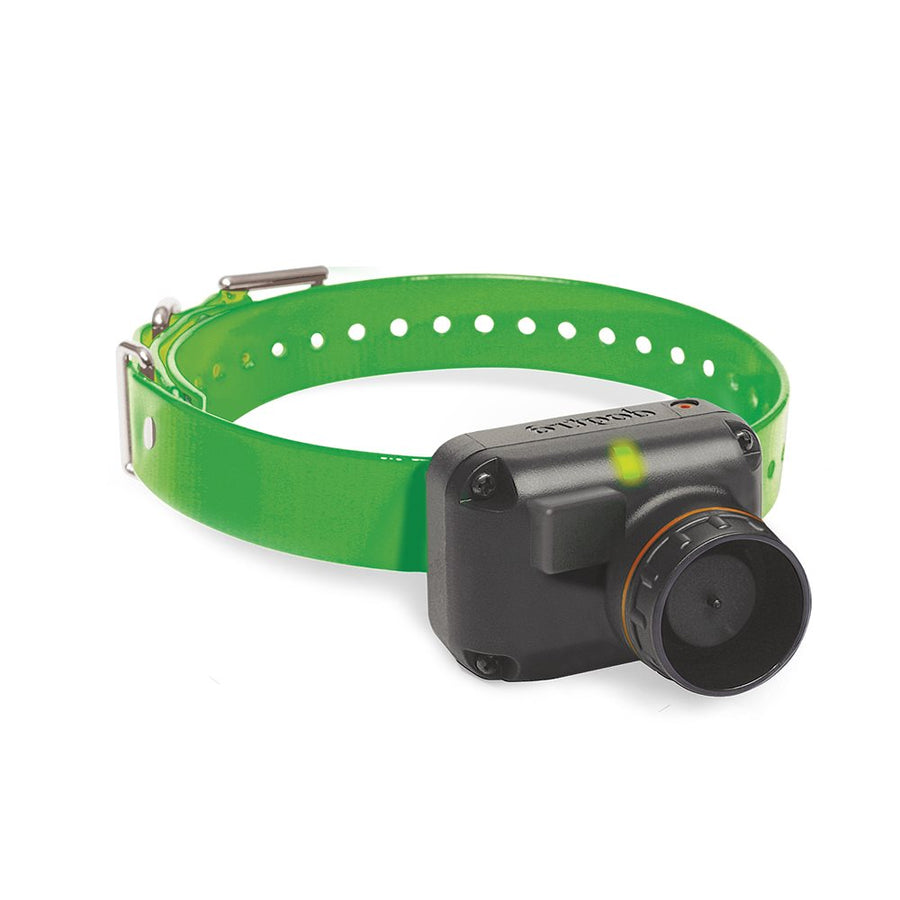 Dogtra Extra Train & Beep Collar/Receiver - - Training collars by Dogtra