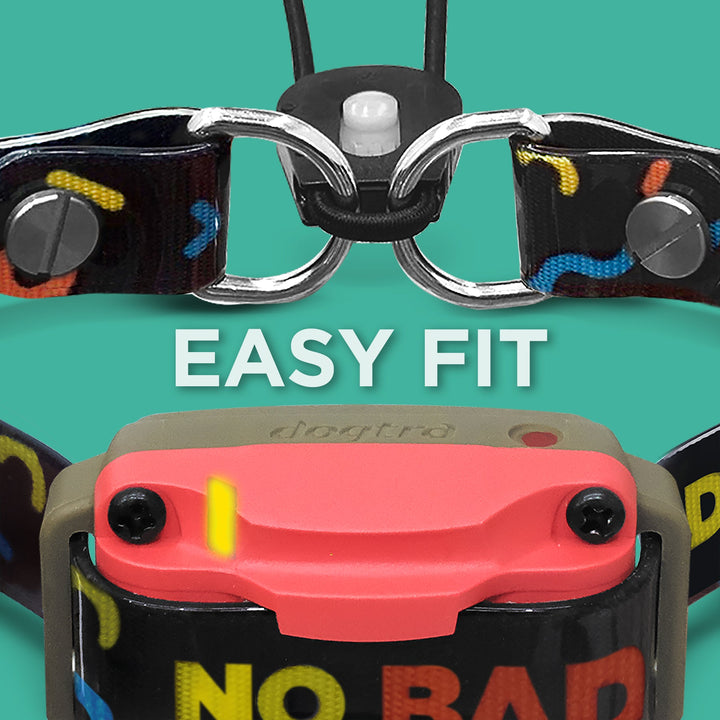 Dogtra Tom Davis Edition 280C Boost & Lock - - by Dogtra