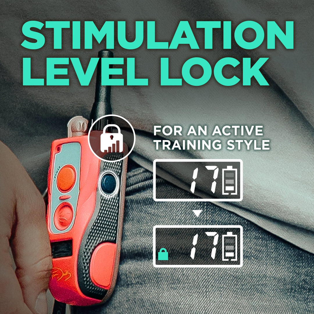 Dogtra Tom Davis Edition 280C Boost & Lock - - by Dogtra