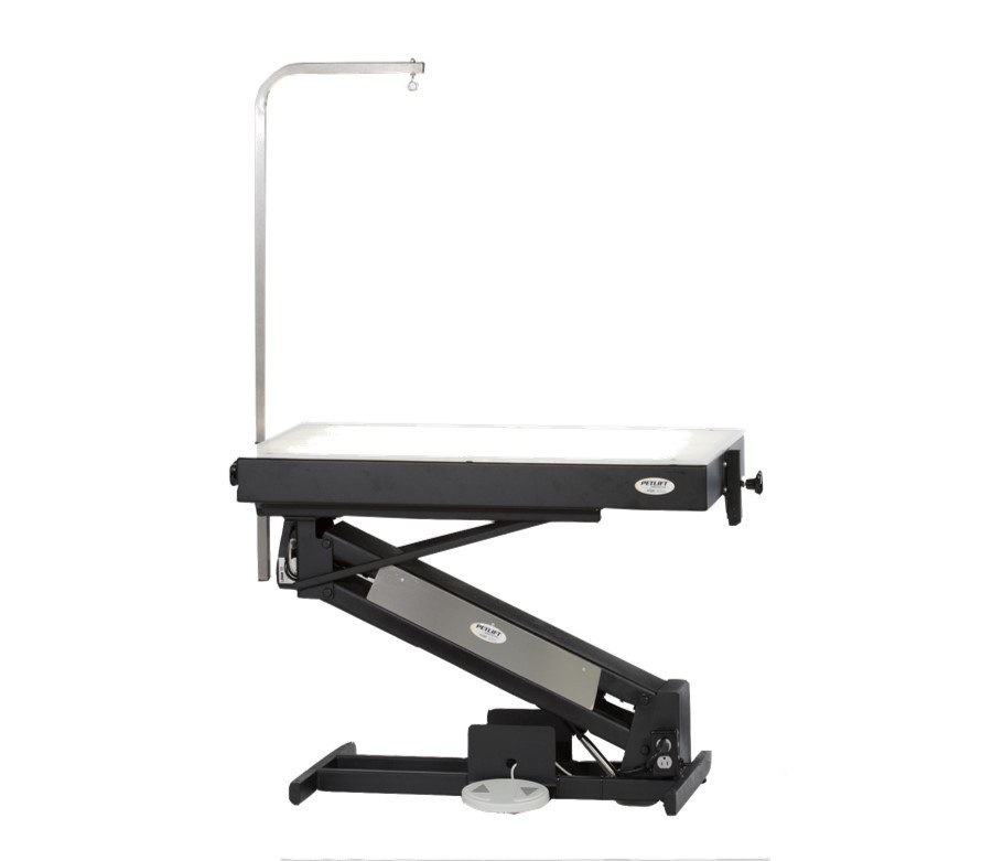 Petlift MasterLift LowRider Lighted Top Electric Grooming Table - - Grooming Tables by Petlift