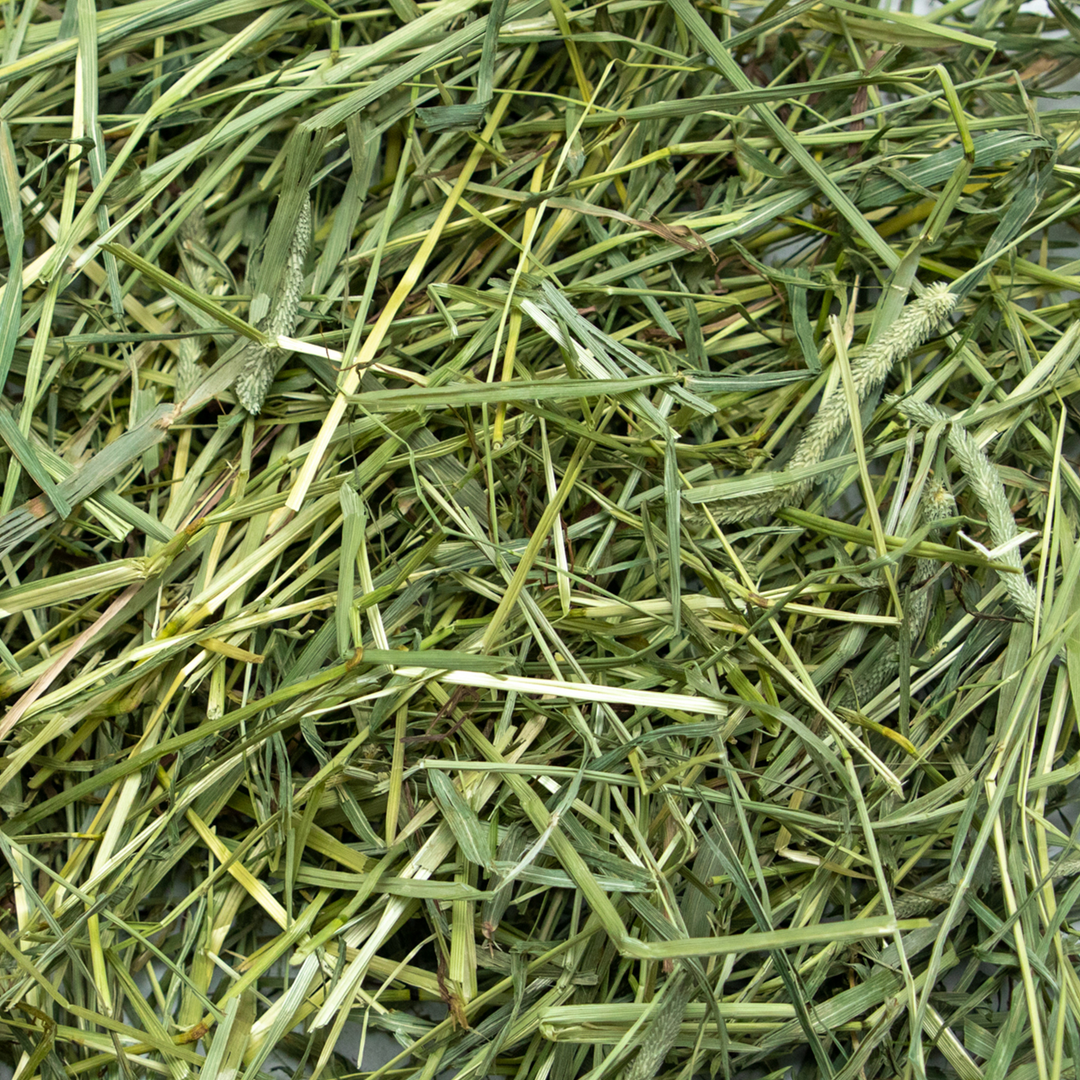 Rabbit Hole Hay Ultra Premium Coarse Timothy Hay - - Hay by Rabbit Hole Hay