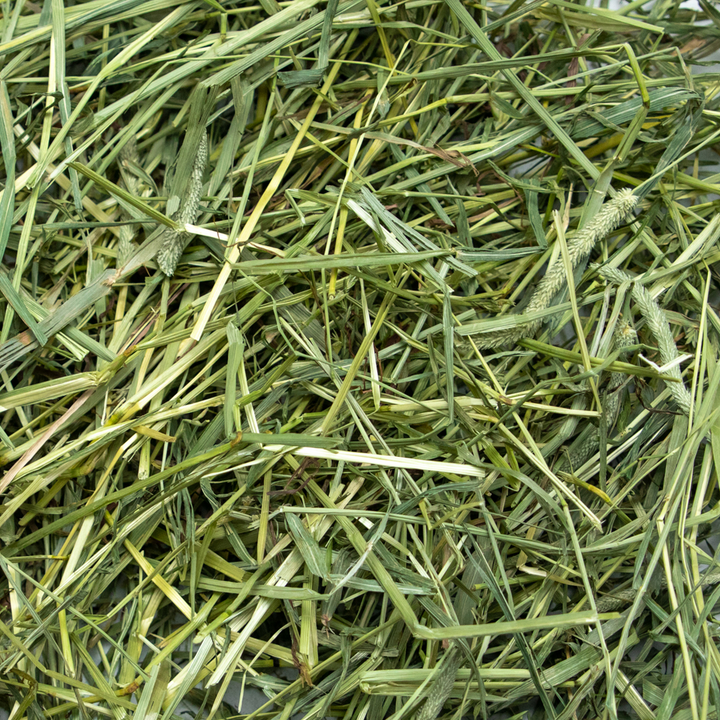 Rabbit Hole Hay Ultra Premium Coarse Timothy Hay - - Hay by Rabbit Hole Hay