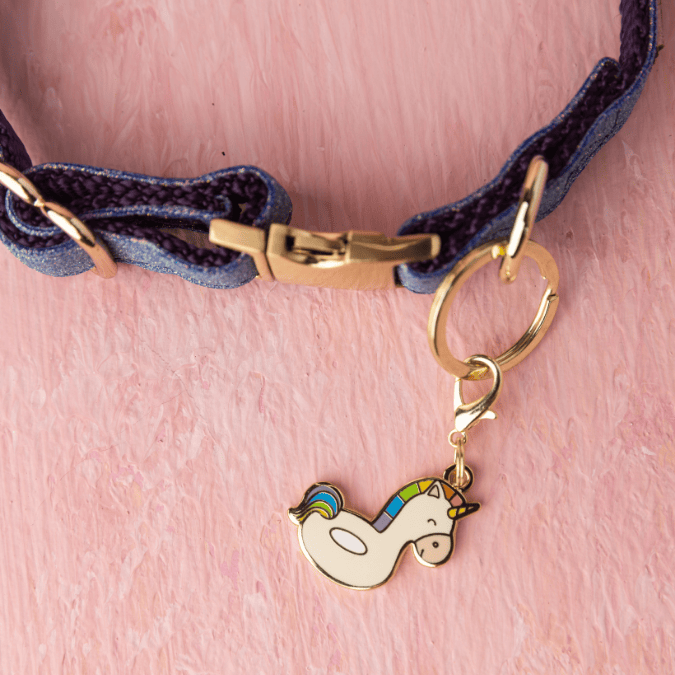 Unicorn Floatie Pet Charm