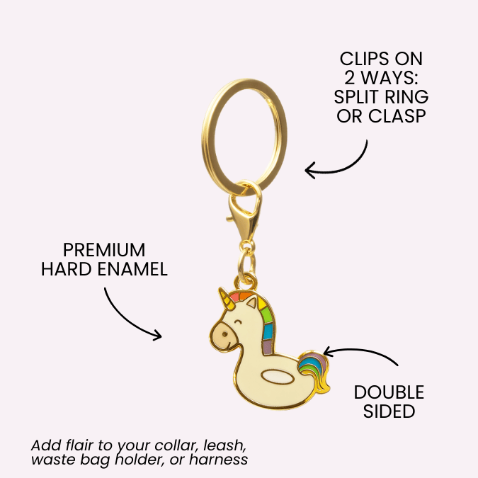 Unicorn Floatie & Beach Ball Pet Charm Set