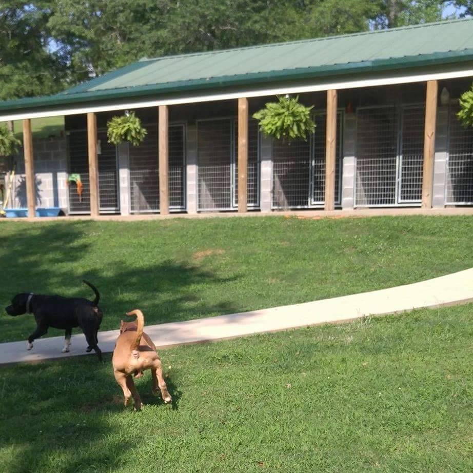 TK Products Door Panel and Stainless Steel Handle - - Dog Kennels & Runs Accessories by TK Products