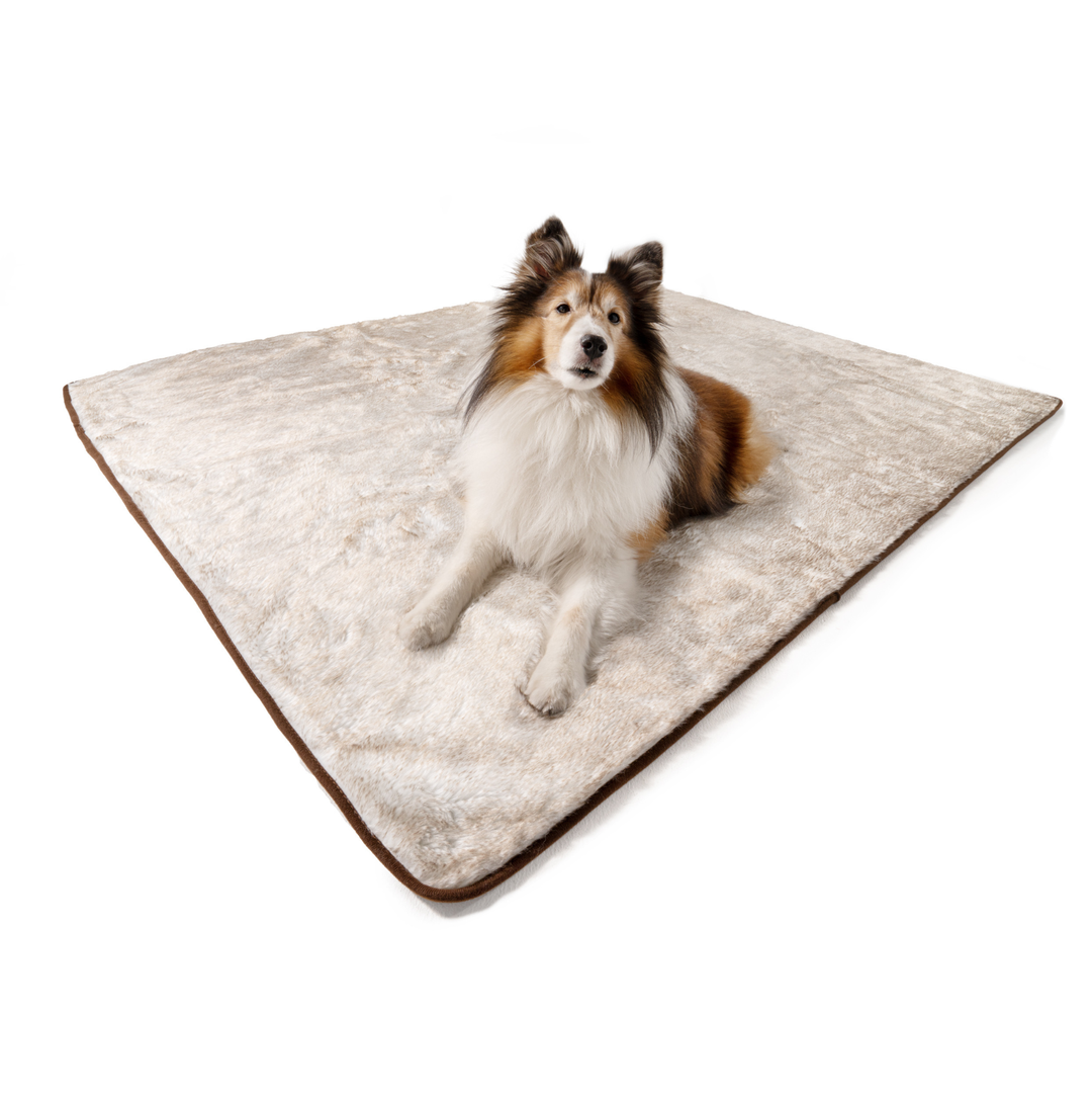 PupProtector™ Short Fur Waterproof Throw Blanket - White with Brown Accents - - Dog Blanket by Paw.com